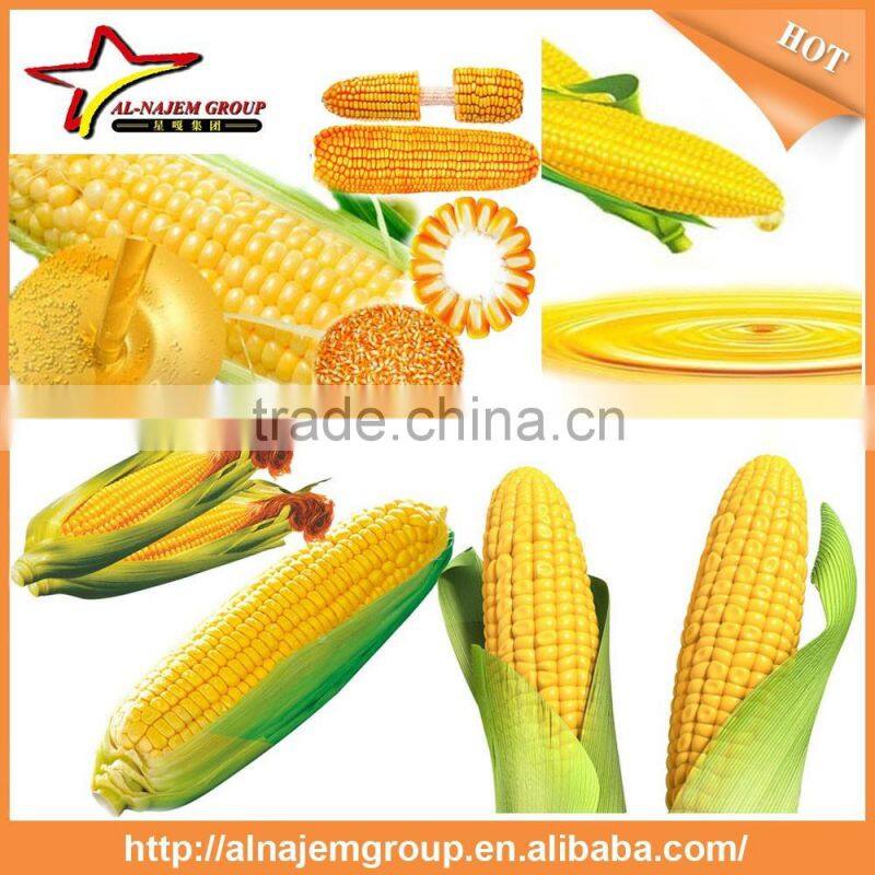 Best price corn oil filling maker machine filling equipment