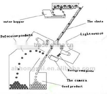 Pulse Bean Color Sorter Machine Sorting Machine