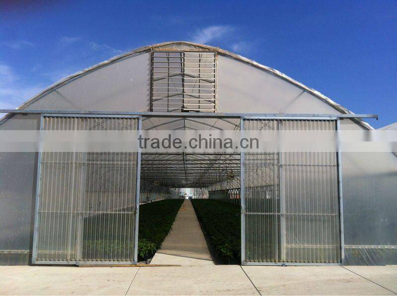 Vegetable Tunnel Plastic Green House
