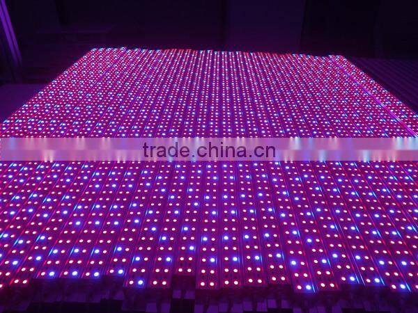 cob led 20w uv for laser ponter,365nm/380nm/400nm,high quality ,accurate wavelength