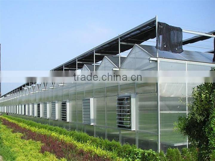 Flowers sunlight greenhouse cultivation