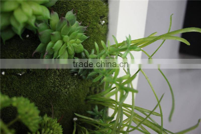 for home garden tiles deco 30*30*7cm paint color indoor artificial succlent boutique plant wall laminate combinations Ejq10 1205