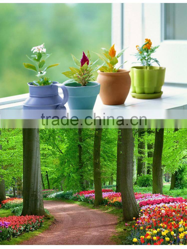 Wholesale children small garden plastic watering can, kids mini watering cans