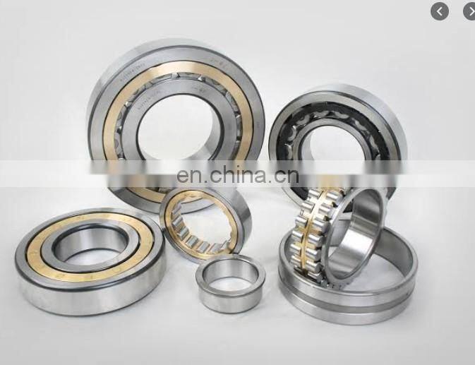 Cylindrical Roller bearing SC050615VC3  C3 Automotive 25x62x15.5mm