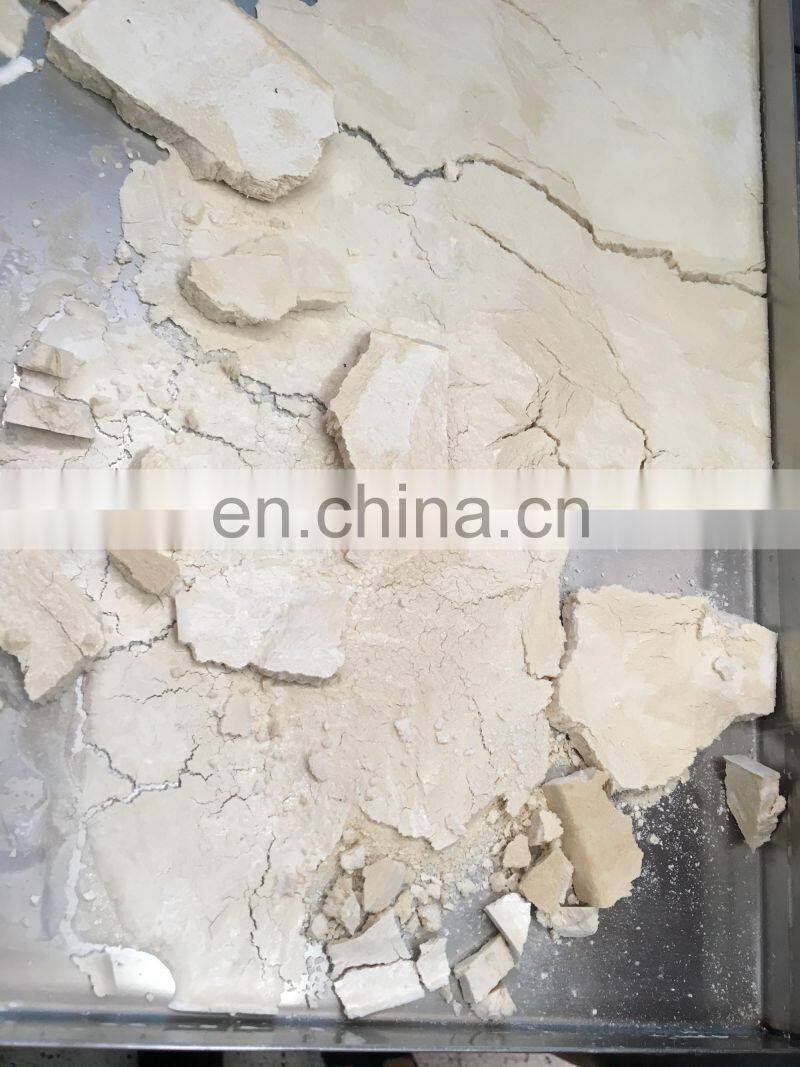 Vegetable lyophilization machine / lyophilizer for pharmaceutical