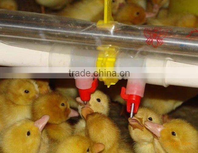 poultry nipples waterer for duck drinker