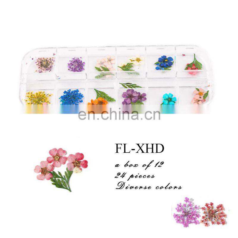 Dry Flower Nail Digit Nail And Smart Flower Printer