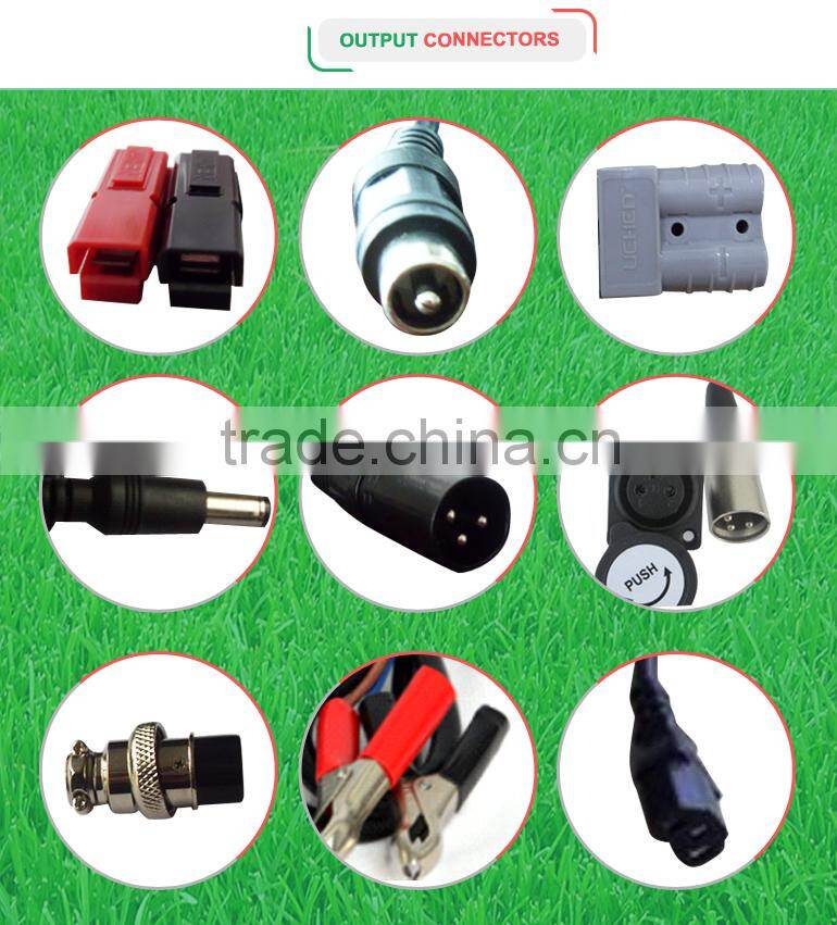 Electric Bicycle Charger