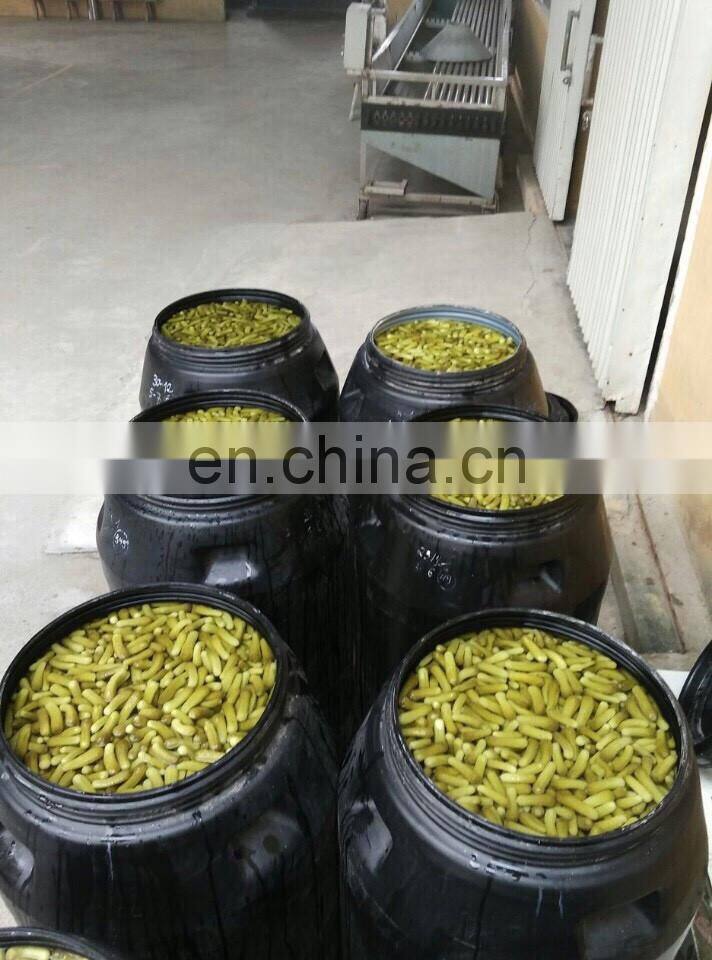 Pickled Cucumber/Gherkins in glass jar