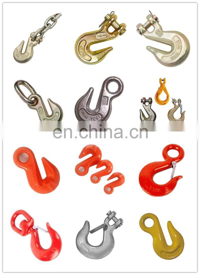 Wholesale Ship Lifting Eye Slip Chain Hook with Latch