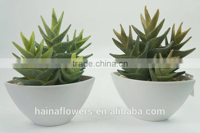 cheap wholesale artificial bonsai artificial cactus for decoraton
