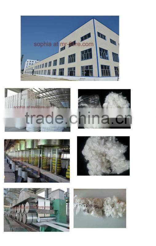 regenerated Hollow Conjugated Polyester Staple Fiber 7D X 32mm