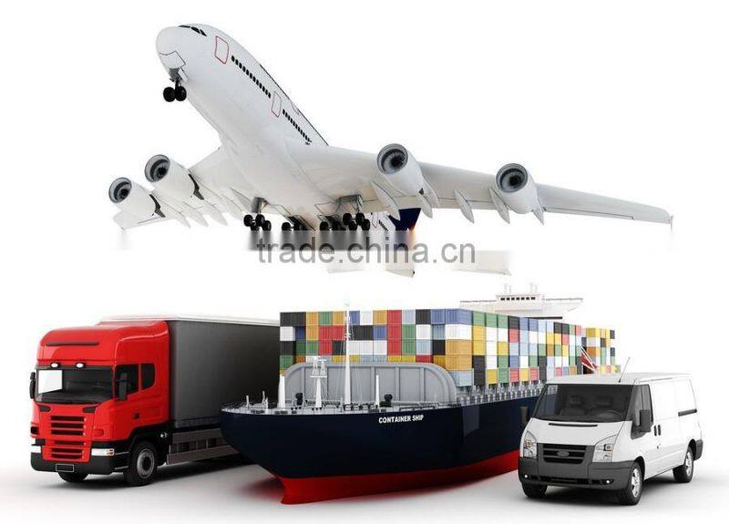 Electric Shoe Dryer for Boot