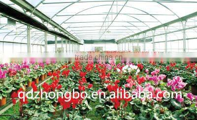 Low greenhouse in benxi steel structure