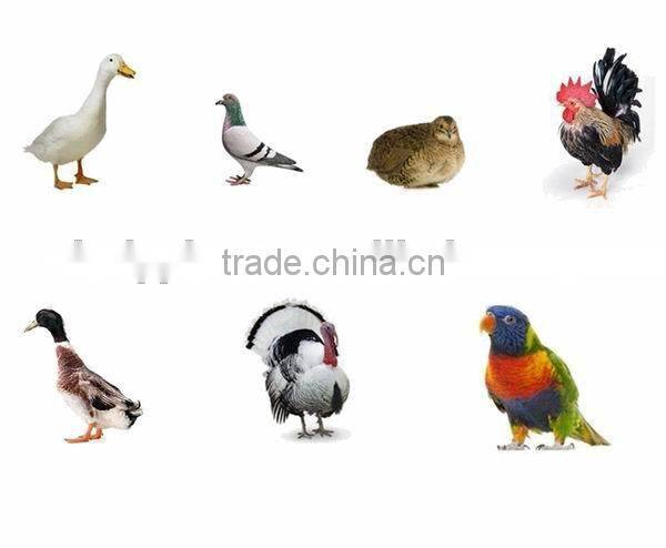 HS-2112 cheap Egg Incubator egg hatching machine for sale