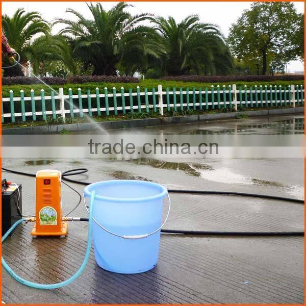 Professional mini plunger pump