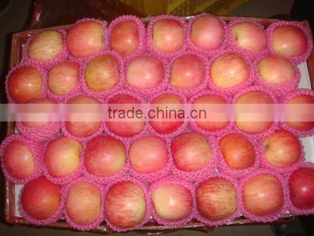 China red fresh fuji apple price