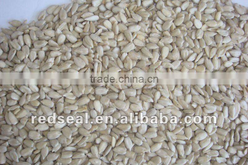 2014 White Sunflower seeds