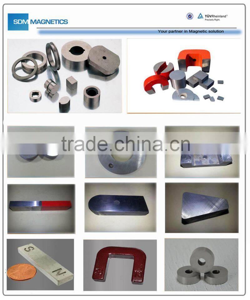 Good quality customized Permanent Alnico