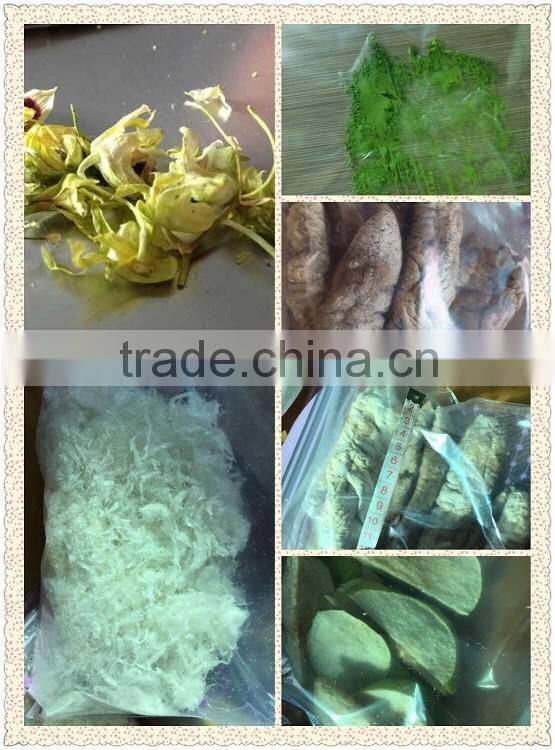 bird's nest freeze dryer SJIA-10F