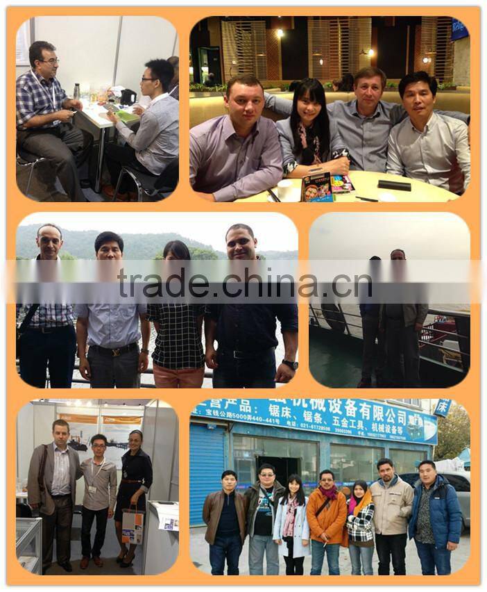 2015 China Excellent Carbide Saw Blade