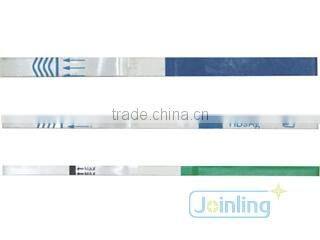 Test Strip