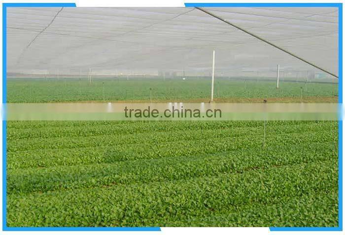 agricultural greenhouse anti insect net