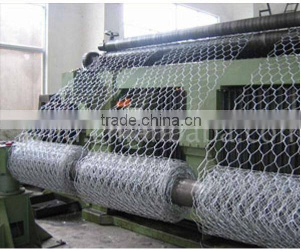 Anping Xinxiang Cheap Galvanized Hexagonal Wire Netting