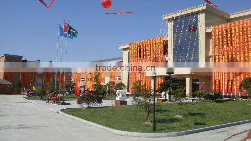 CE ROHS BV SASO China supplier 3W LED lighting high quality alibaba express