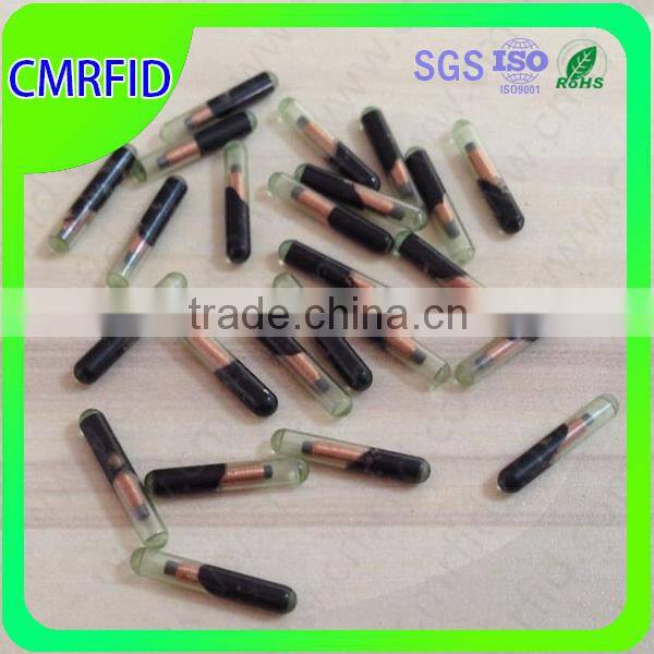 Identifications Applications Small Pet RFID Glass Tag