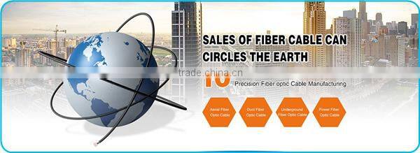 2016 hot new 1 core drop fiber optic ftth pigtail