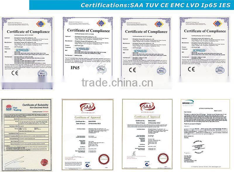 Project LED New LED Flood 50w in Austria with Bridgelux 45mil Chips