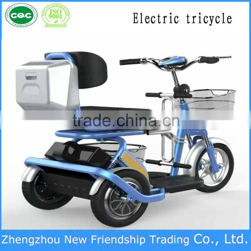 battery powered small family using scooter