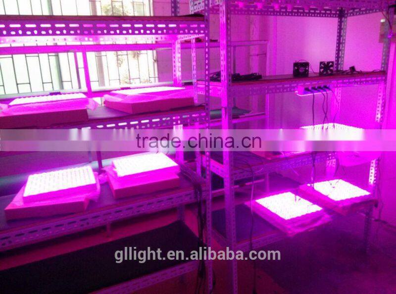 price greenhouses growing vegetables 14w led light grow led for plant growth