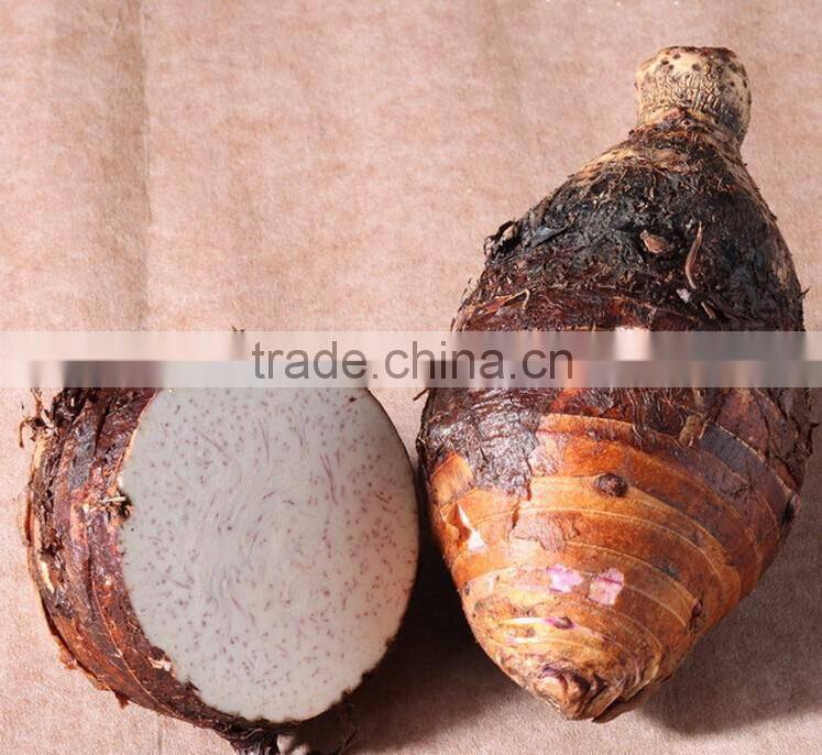 Shandong fresh taro price