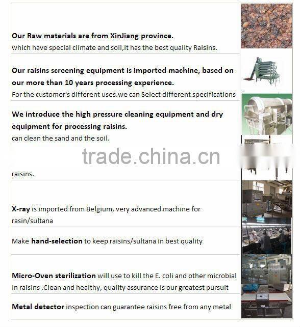 Golden sun raisins, hand selected quality