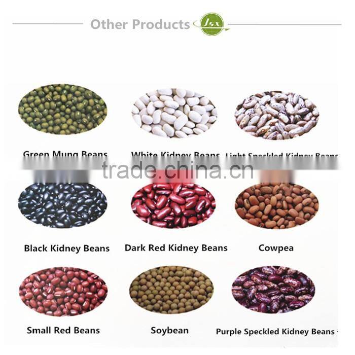 JSX Types Of Size500-550 Canned Color Selected Black Beans For Sale