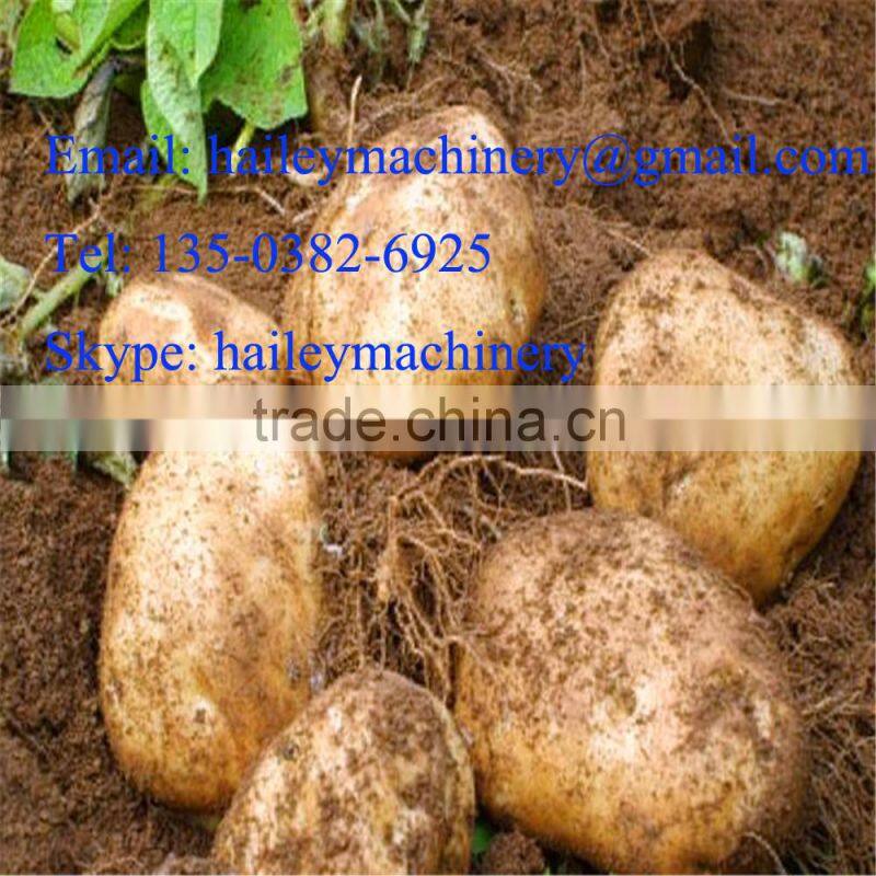The best quality and service sales two row potato planter