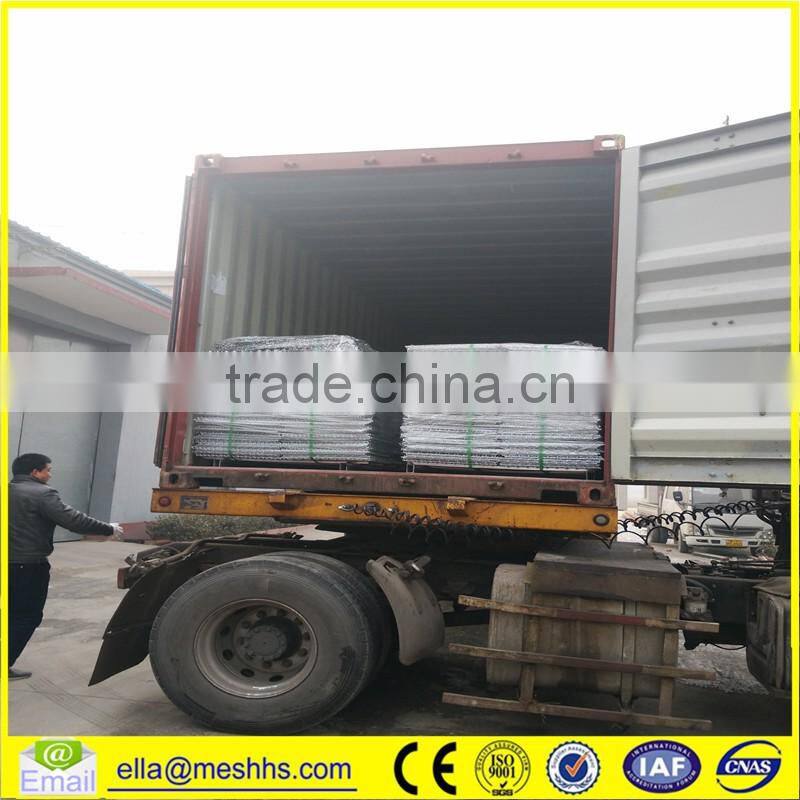 Professional Welded Gabion Box/Gabion Boxed