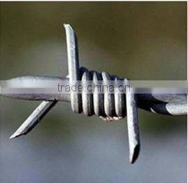 Stainless steel barbed wire