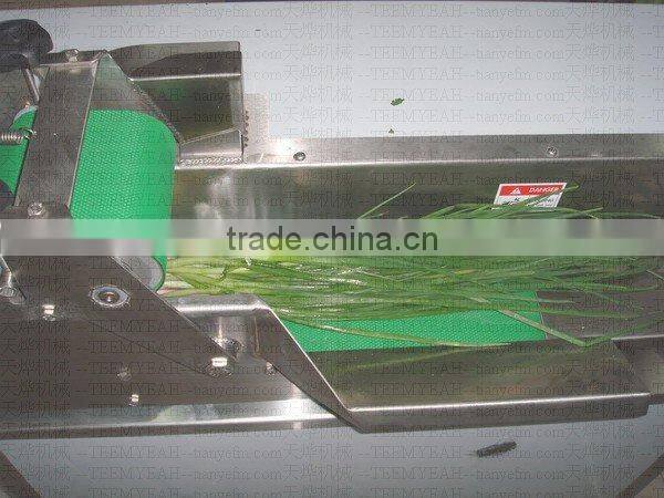 TW-805 Nice Quality Vegetable Cutting Machine (video)