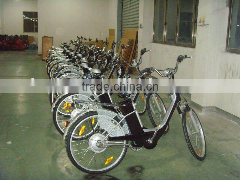 Popular lead-acid battery bike