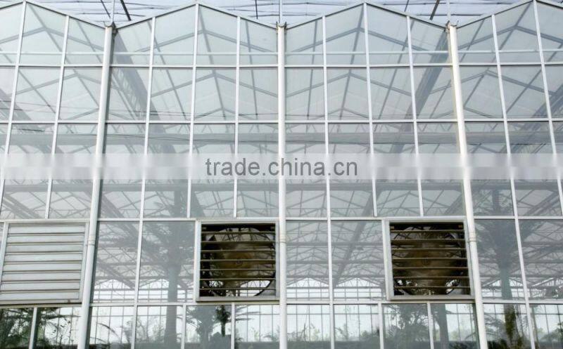 High quality glass greenhouse