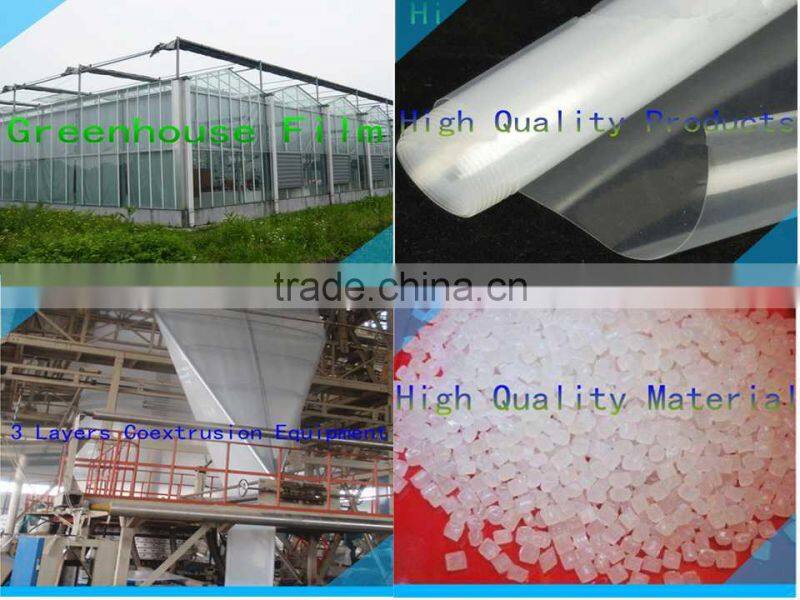 High Quality Anti-UV Greenhouse Film for Vegetables