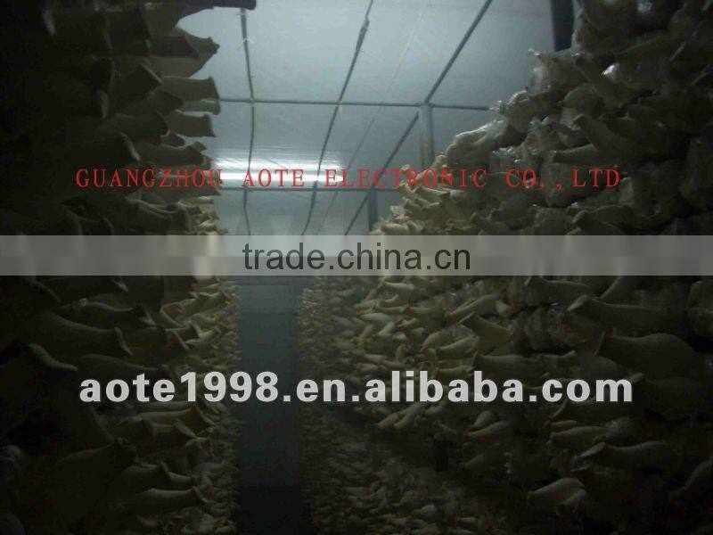 Mushroom use Ultrasonic humidifier (AOTE-JS03Z)