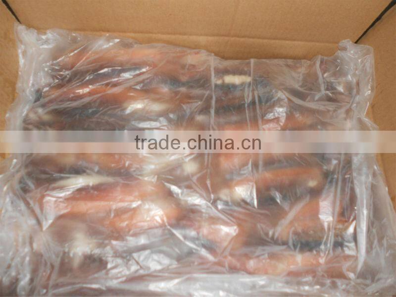 high quality frozen whole and round illex squid 200-300g
