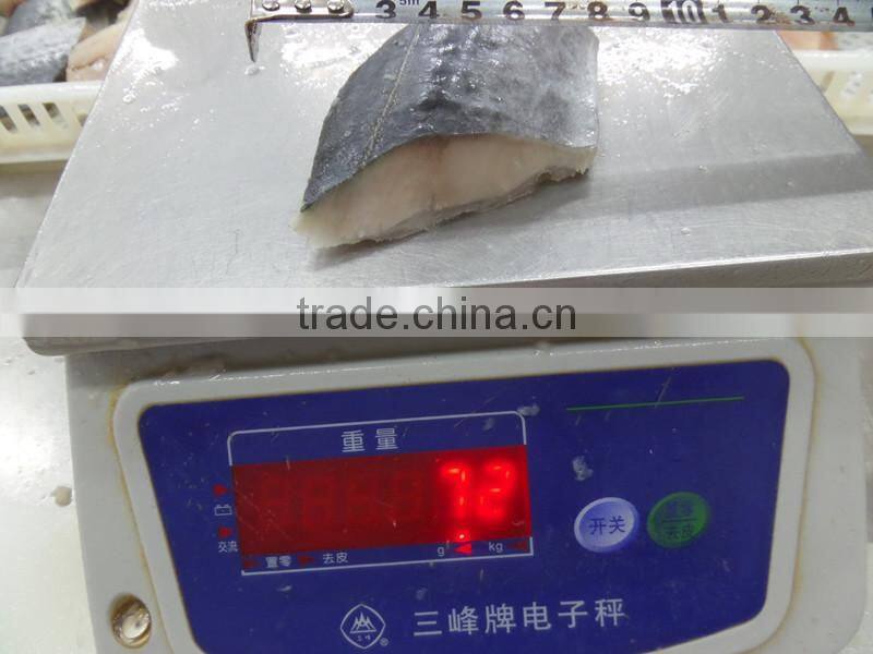 frozen spanish mackerel steaks