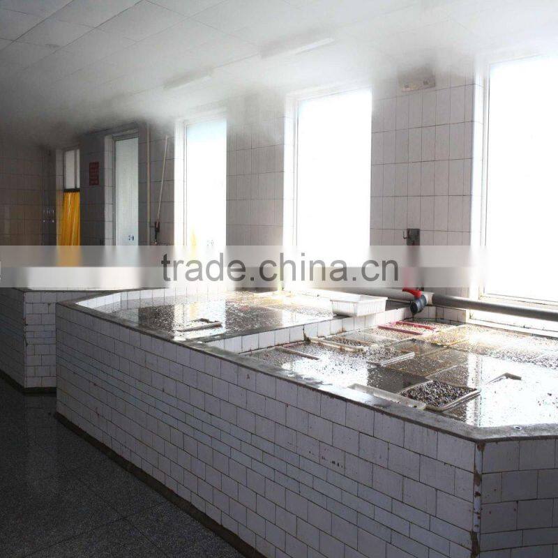 NEW SEASON FROZEN SHORT NECKED CLAM