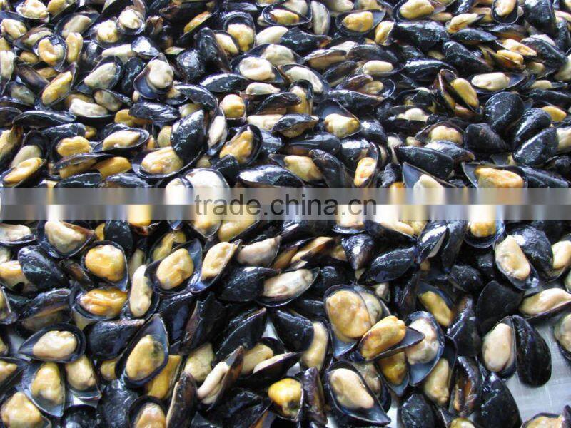 IQF Half shell blue mussel
