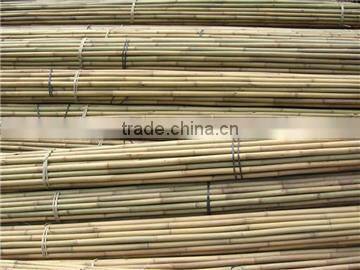 Dry Bamboo Pole